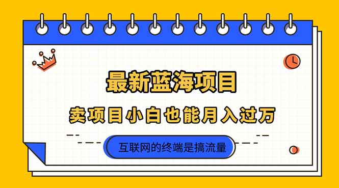 （14289期）2025年最新蓝海项目，卖项目小白也能月入过万-慧创网