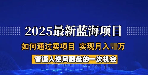 2025蓝海项目，普通人如何通过卖项目，实现月入过W，全过程【揭秘】-慧创网