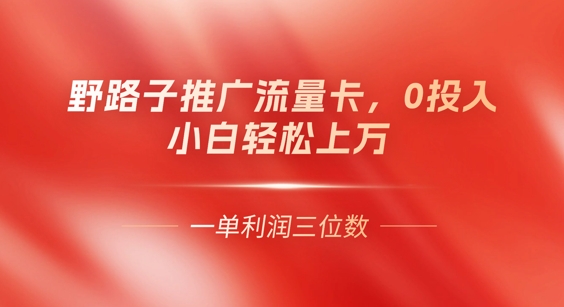 0门槛推广流量卡，一单收益上百，0投入，小白月入过W-慧创网