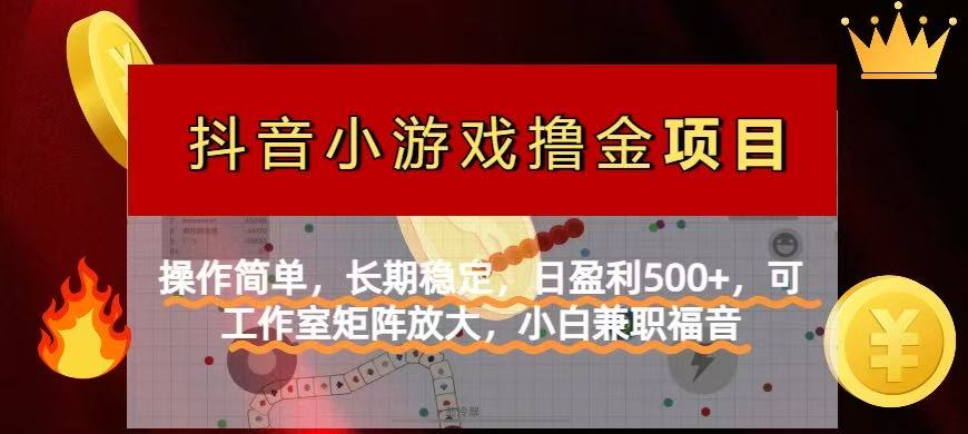 （14290期）【抖音小游戏发行人计划项目】操作简单，长期稳定，日盈利500+，可工作…-慧创网