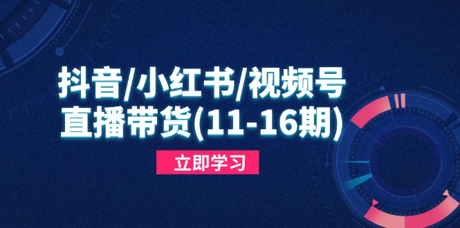 （14611期）抖音/小红书/视频号/直播带货(11-16期)，快速掌握平台规则，打造爆款内容-慧创网