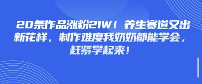 20条作品涨粉21W！养生赛道又出新花样，制作难度我奶奶都能学会，赶紧学起来-慧创网