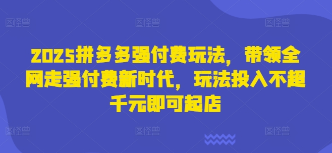 2025拼多多强付费玩法，带领全网走强付费新时代，玩法投入不超千元即可起店-慧创网