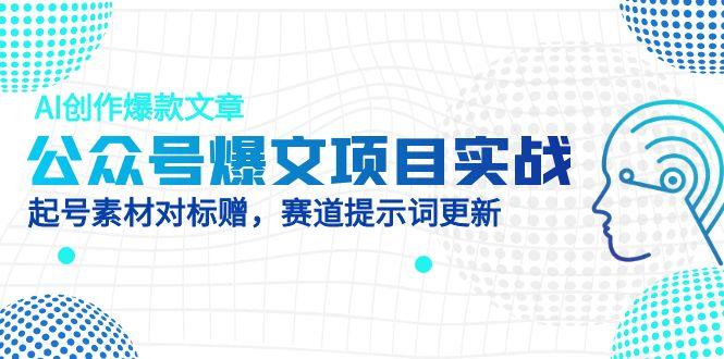 （14709期）公众号爆文项目实战，AI创作爆款文章，起号素材对标赠（附赛道AI提示词）-慧创网