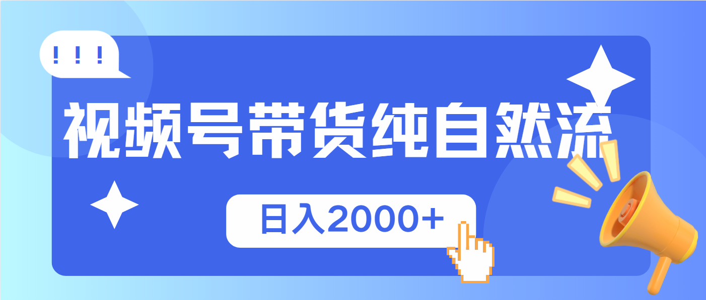 （13998期）视频号带货，纯自然流，起号简单，爆率高轻松日入2000+-慧创网