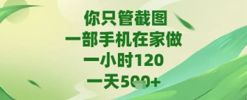 你只管截图，一部手机在家做，苹果安卓都可以，一天5张+【揭秘】-慧创网