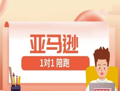 亚马逊1对1陪跑课(FBA/FBM精铺)跨境亚马逊教程-慧创网