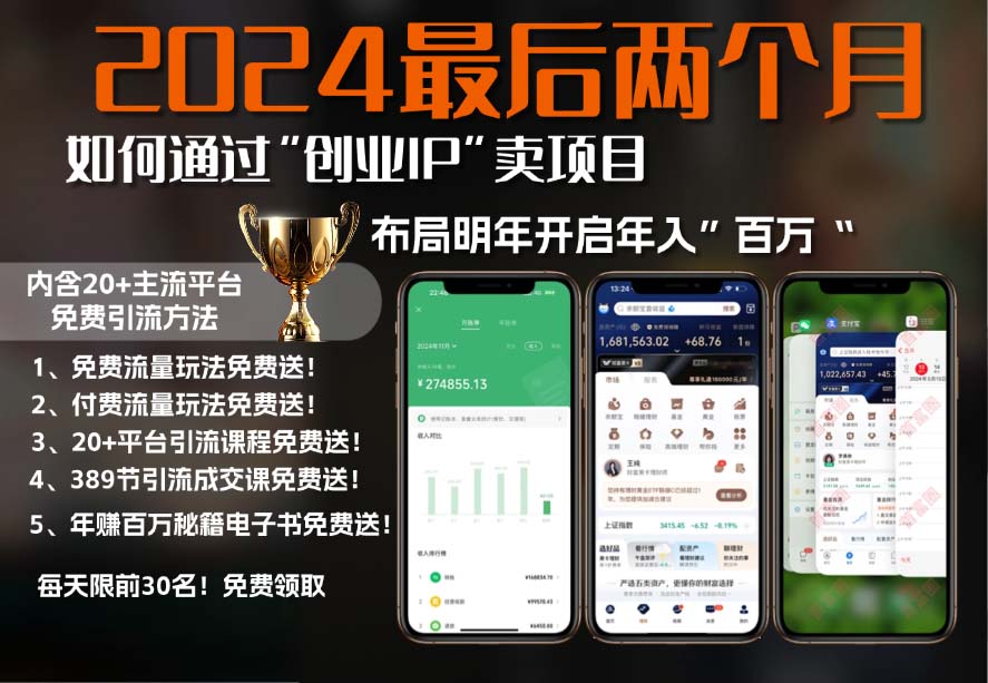 2024最后两个月如何通过”创业IP“卖项目年入”百万“,创业IP+最强引流…-慧创网