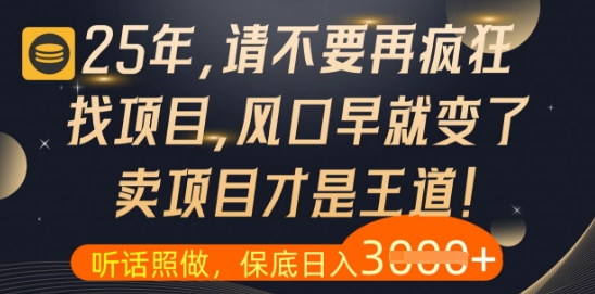 什么？25年你还在疯狂找项目做，醒醒吧，看完这些你全都懂了【揭秘】-慧创网