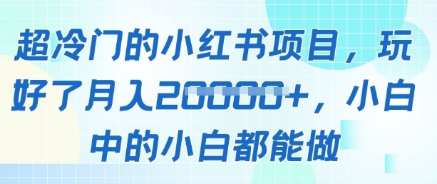 超冷门的小红书项目，玩好了月入过1w，小白中的小白都能做-慧创网