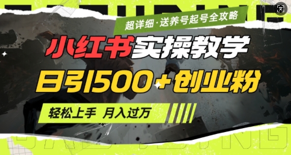 2月小红书最新日引500+创业粉实操教学【超详细】小白轻松上手，月入1W+，附小红书养号起号SOP-慧创网