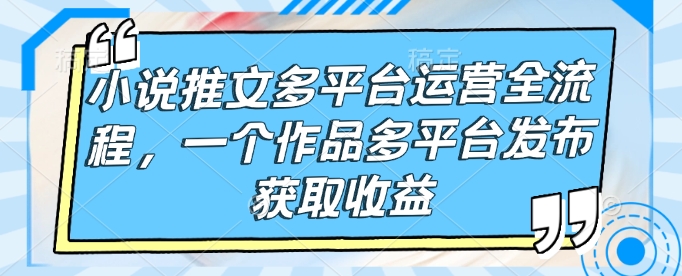 小说推文多平台运营全流程，一个作品多平台发布获取收益-慧创网