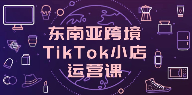 （14390期）东南亚跨境TikTok小店运营课，掌握店铺设置与流量转化核心技巧-慧创网