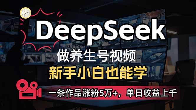 （14270期）小白用DeepSeek做养生号，一条作品涨粉5万+，单日收益上千-慧创网