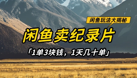 闲鱼卖纪录片1单3块钱，1天几十单，项目稳定有潜力-慧创网