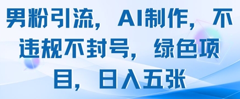 男粉引流，AI制作，不违规不封号，绿色项目，日入五张-慧创网