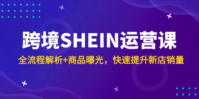 （14832期）跨境SHEIN运营课，全流程解析+商品曝光，快速提升新店销量-慧创网
