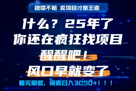 什么？25年你还在疯狂找项目做，醒醒吧，看完这些你全都懂了！【揭秘】-慧创网
