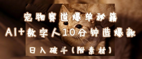 宠物赛道爆单秘籍：AI+数字人10分钟造爆款，日入1k-慧创网