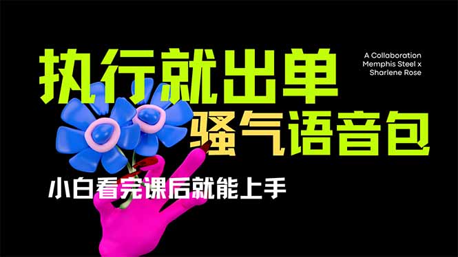 （14170期）爆火全网的开车导航骚气语音包,只要执行就出单，小白看完课程就能实操…-慧创网