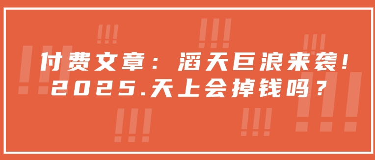 付费文章：滔天巨浪来袭！2025天上会掉钱吗？-慧创网