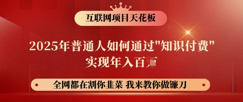 互联网项目天花板，2025年普通人如何通过知识付费实现年入百个【揭秘】-慧创网