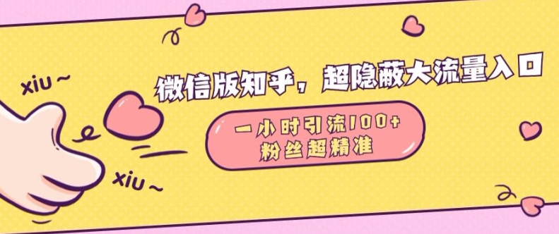 微信版知乎，超隐蔽流量入口1小时引流100人，粉丝质量超高【揭秘】-慧创网