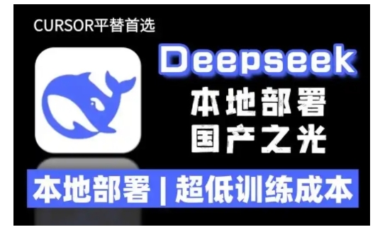 2025年deepseek R1 大型模型本地安装部署(文件+教程)本地部署，超低训练成本-慧创网