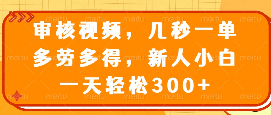 （14294期）审核视频，几秒一单，多劳多得，新人小白一天轻松300+-慧创网