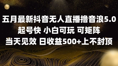 2025五月最新无人直播撸音浪单日产出5张+实操教程【揭秘】-慧创网
