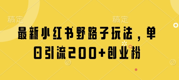 最新小红书野路子玩法，单日引流200+创业粉-慧创网