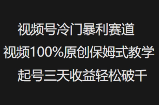 视频号冷门暴利赛道视频100%原创保姆式教学起号三天收益轻松破千-慧创网