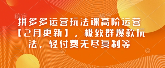 拼多多运营玩法课高阶运营【2月更新】，极致群爆款玩法，轻付费无尽复制等-慧创网