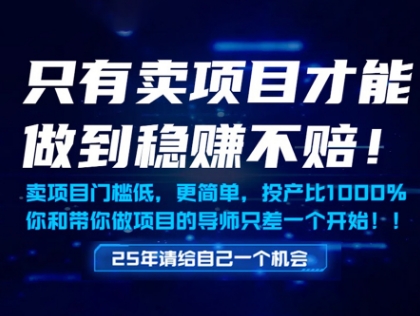 只有卖项目才能做到稳挣不赔，门槛低，更简单，你也可以年入百个W【揭秘】-慧创网