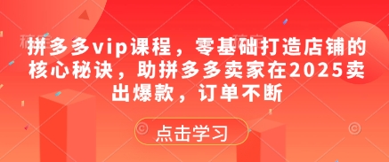 拼多多vip课程，零基础打造店铺的核心秘诀，助拼多多卖家在2025卖出爆款，订单不断-慧创网