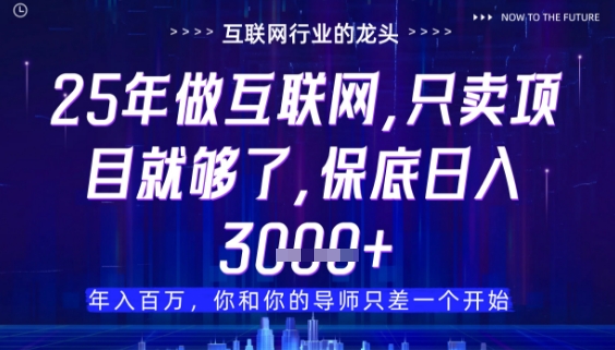 什么！25年你还在找项目做？风口早就变了，卖项目才是稳挣不赔【揭秘】-慧创网