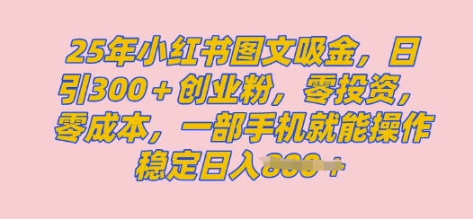 2025年小红书创业粉图文自热教程，日+300创业粉，单日变现多张，无脑操作，宝妈，小白抓紧冲-慧创网