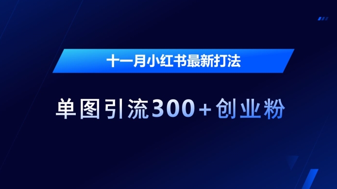 十一月小红书最新打法，单图引流300+创业粉【揭秘】-慧创网