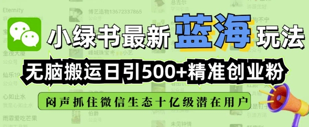 小绿书无脑搬运引流，全自动日引500精准创业粉，微信生态内又一个闷声发财的机会-慧创网