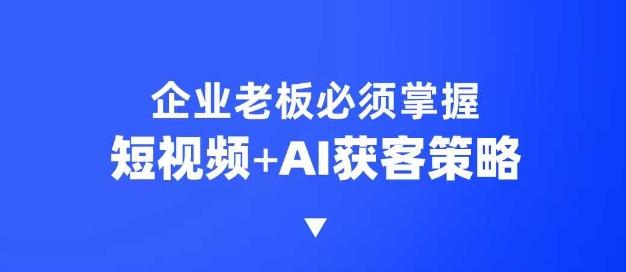 企业短视频AI获客霸屏流量课，6步短视频+AI突围法，3大霸屏抢客策略-慧创网