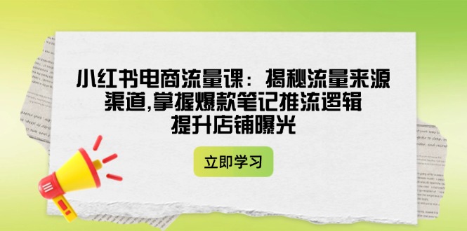 （14318期）小红书电商流量课：揭秘流量来源渠道,掌握爆款笔记推流逻辑,提升店铺曝光-慧创网