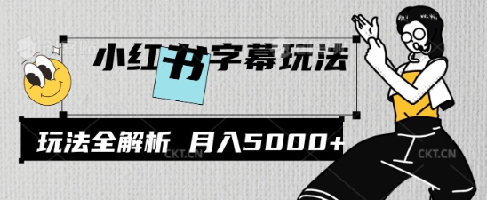 小红书字幕玩法，玩法全解析，月入2000+-慧创网