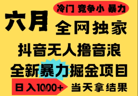 25年6月高爆抖音无人直播最新撸音浪掘金项目，小白可做，无脑日入1k+，门槛低可批量矩阵【揭秘】-慧创网