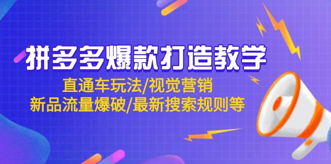（14681期）拼多多爆款打造教学：直通车玩法/视觉营销/新品流量爆破/最新搜索规则等-慧创网