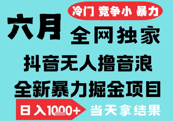 2025年6月高爆抖音无人直播最新撸音浪掘金项目，无脑日入1k+，低门槛小白可做，可矩阵放大【揭秘】-慧创网