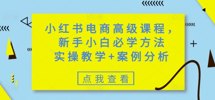 小红书电商高级课程，新手小白必学方法，实操教学+案例分析-慧创网