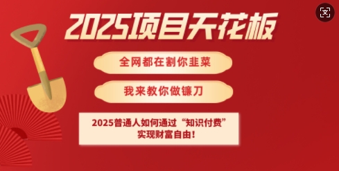 2025项目天花板普通人如何通过知识付费，实现财F自由【揭秘】-慧创网
