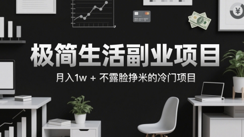 极简生活副业项目，月入1w+不露脸挣米的冷门项目-慧创网