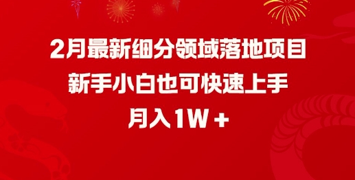2月最新细分领域落地项目，新手小白也可快速上手，月入1W-慧创网
