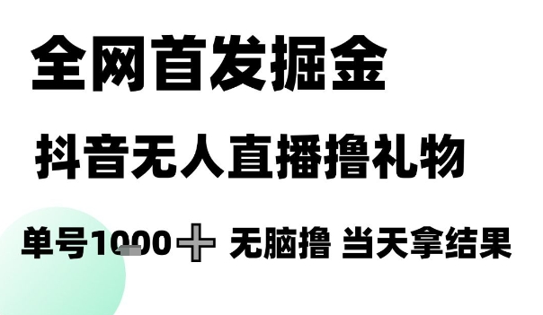 全网首发掘金抖音无人直播撸礼物，单号1k +无脑撸，当天拿结果【揭秘】-慧创网